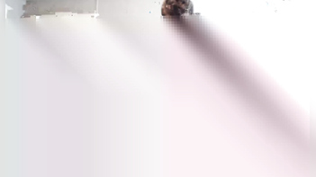 Desi Girls Go Wild in Doggy Style Porn Videos!