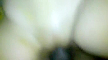 Indian Sexy Chick Gets Pounded by Massive Cock