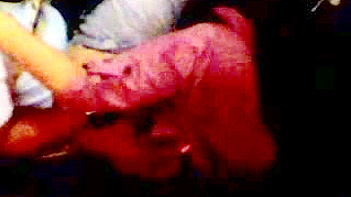 Indian Couple Gets Wild in Cyber Cafe Sex Session, Filmed Stealthy and Dirty