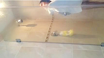 Hindu Chick Sucks Dick Like a Whore, Mind-Blowing Blowjob Action