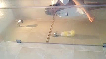 Hindu Chick Sucks Dick Like a Whore, Mind-Blowing Blowjob Action