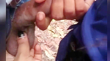 Desi Indian GF Sucks Dick in Outdoor Sex Scandal, Wild Blowjob Action
