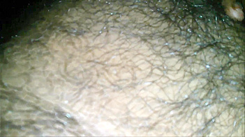 Wife Handjob Action with a Juicy Cumshot Finale