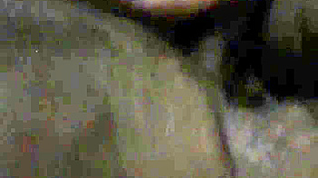 Indian School Teacher Caught on MMS, Wild Sex Tape Leaked Online