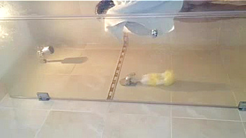 Hindu Chick Sucks Dick Like a Whore, Mind-Blowing Blowjob Action