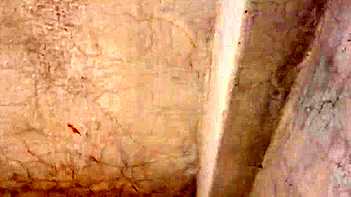 Filthy Neighbor Catches Desi Bhabhi Showering, Raw Footage Leaked Online
