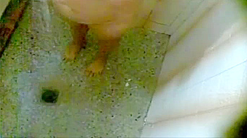 College Chick With Massive Tits Caught Naked and Soaking Wet in the Bathroom Shower