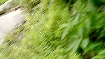 Indian Couple Get Wild and Dirty in the Jungle, Hardcore Sex Scenes