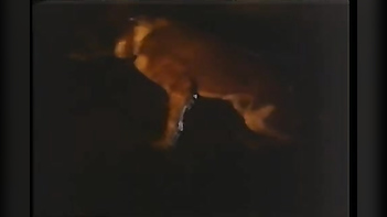 Desi Bitch Enjoying Wild Sex with Devar at Home - Bollywood Masala MMS Leak