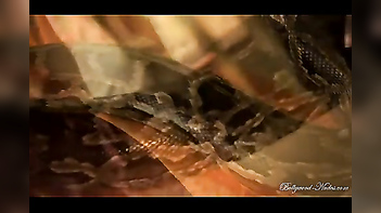 Babe Dances Seductively With A freaking Massive Snake - XXX Video